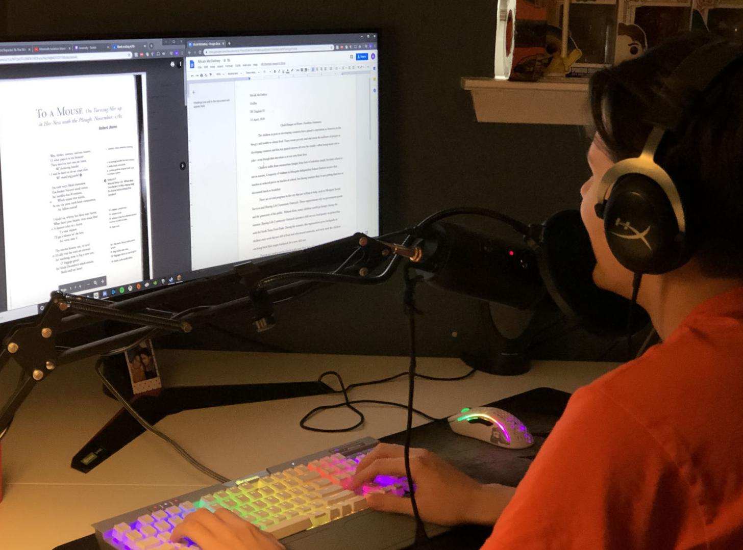 online learning (copy)